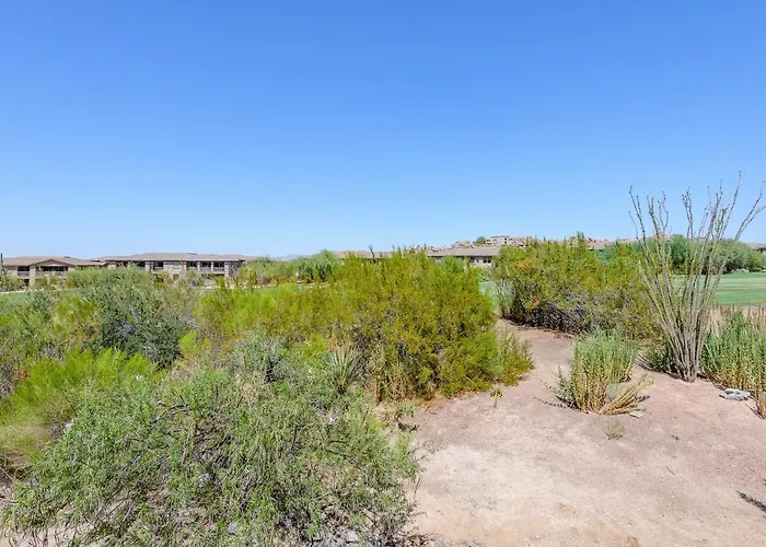 Agave Scottsdale